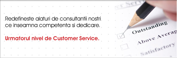 consultanta customer service